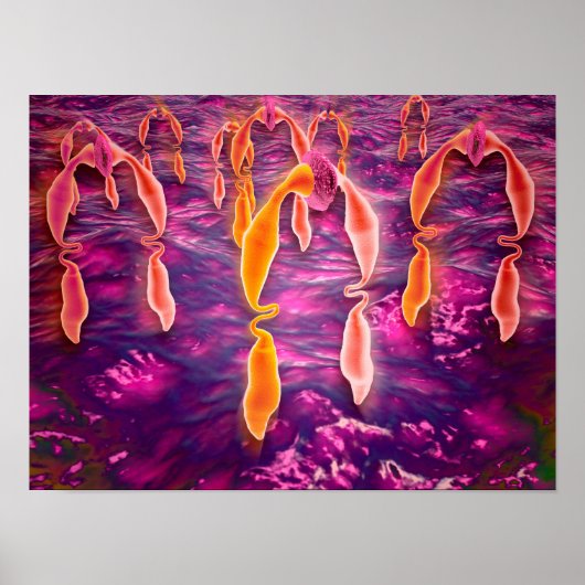 受容体に結合するリガンドの顕微鏡的見解 ポスター (正面)