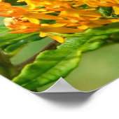 受粉する蝶 ポスター (角)