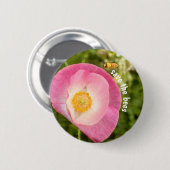 受粉救者ミツバチのピンクのポピーの花 缶バッジ (正面&裏面)