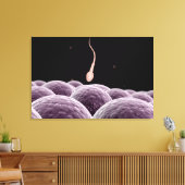 受精の概念像 キャンバスプリント (インサイチュ (リビング))