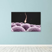 受精の概念像 キャンバスプリント (インサイチュ (ウッドフロア))