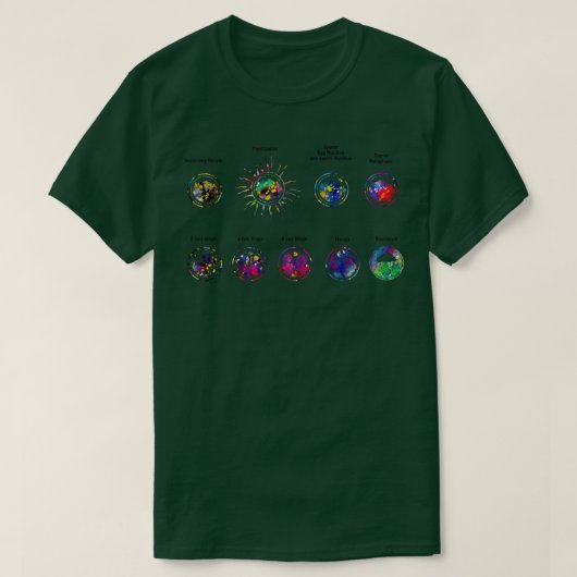 受精の発生1 Tシャツ (デザイン正面)