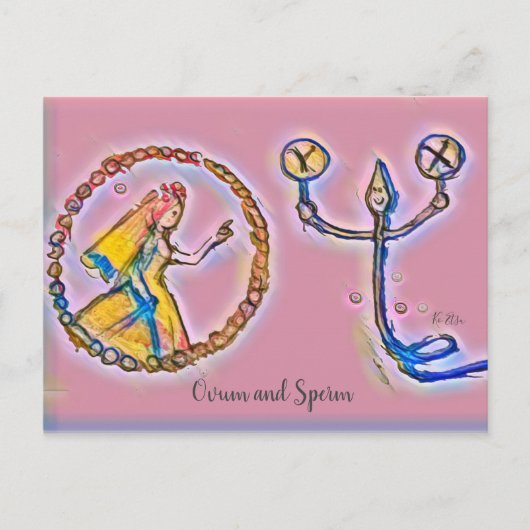 受精卵 ピンクカラーの ポストカード (正面)