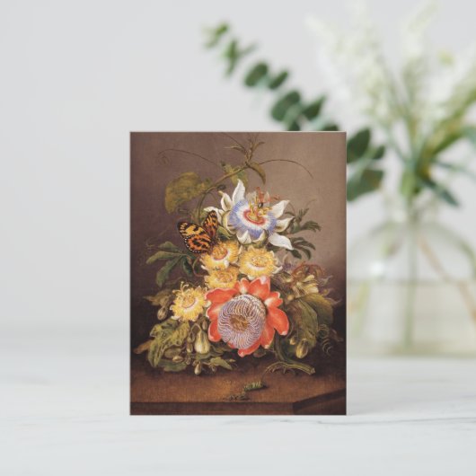 受精花 | Ferdinand Bauer ポストカード (スタンド正面)