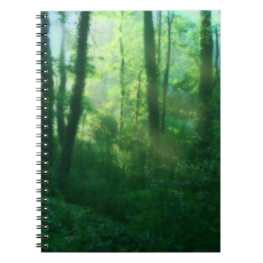 受胎能力ノート ノートブック (正面)