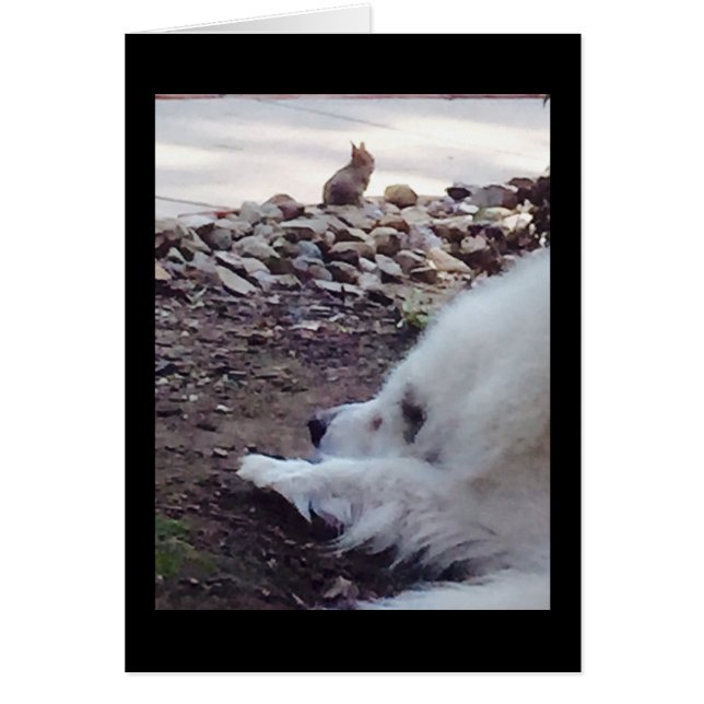 受諾カード (正面)