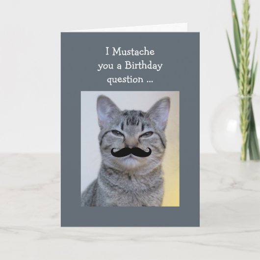 口おもしろいひげ質問誕生日猫 カード (正面)