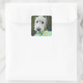 口にギフトを入れた犬 スクエアシール (バッグ)