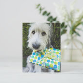口にギフトを入れた犬 ポストカード (スタンド正面)