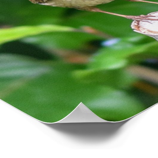 口に虫が入った大人の女 ポスター (角)