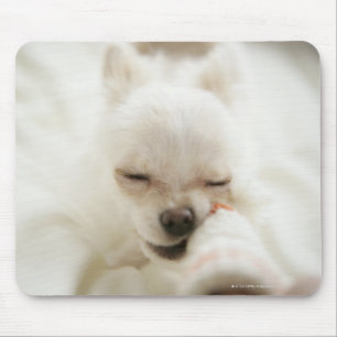 口のおもちゃを握っている犬 マウスパッド