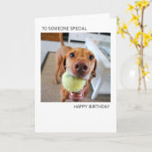 口のバースデー・カードの球を持つVizsla犬 カード (黄色い花)