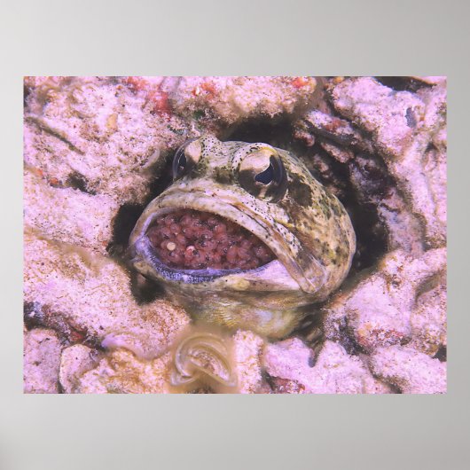 口の中の空気 ポスター (正面)