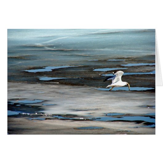 口の中の魚 (正面横)