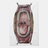 口の解剖学 キッチンタオル (縦)