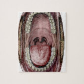 口の解剖学 ジグソーパズル (縦)