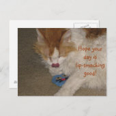 口の軽い良いはがき ポストカード (正面/裏面)