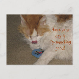 口の軽い良いはがき ポストカード