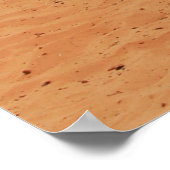 口の近くの茶色い砂の上に座っている2つのラクダ ポスター (角)