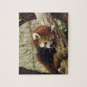 口の食糧を持つかわいい睡眠のレッサーパンダ ジグソーパズル (縦)