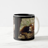 口の食糧を持つかわいい睡眠のレッサーパンダ ツートーンマグカップ (正面右)