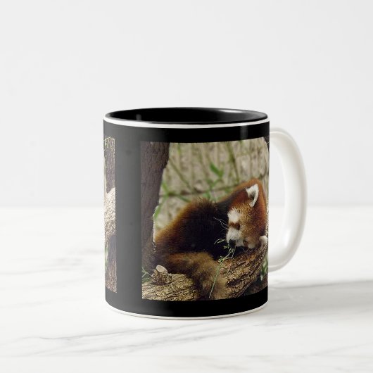 口の食糧を持つかわいい睡眠のレッサーパンダ ツートーンマグカップ (正面右)