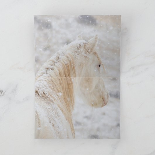 口ひげのあいさつカードの雪の日 カード (内部)