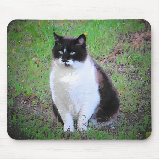 口ひげの猫が見ている マウスパッド (正面)