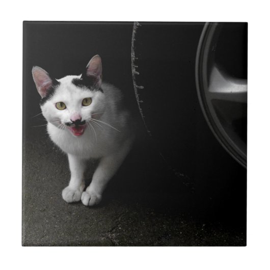 口ひげ付き猫 タイル (正面)