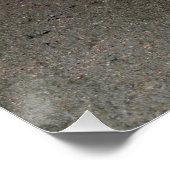 口ひげ付き猫 ポスター (コーナー)