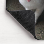 口ひげ付き猫 マウスパッド (コーナー)