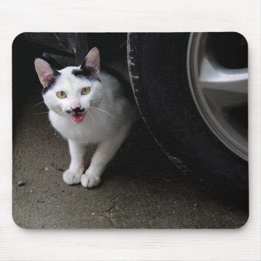 口ひげ付き猫 マウスパッド (正面)