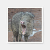 口を大きく開けたジャヴァリーナ スタンダードカクテルナプキン (正面)