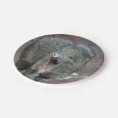 口を大きく開けたジャヴァリーナ ペーパープレート (アングル)