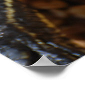 口を開けた亀のポスター ポスター (角)