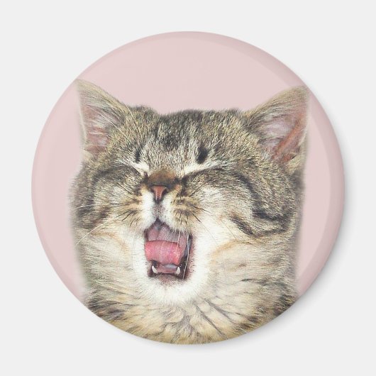 口を開けた子猫 マグネット (正面)