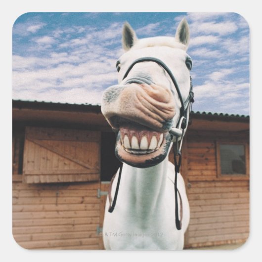 口を開けた状態で馬を閉じる スクエアシール (正面)