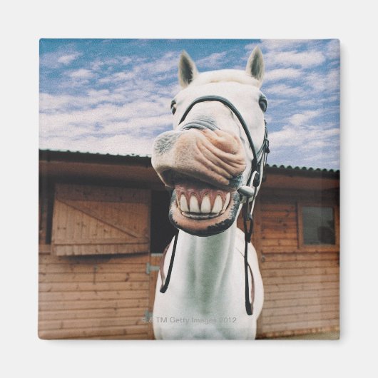 口を開けた状態で馬を閉じる マグネット (正面)