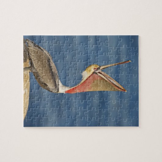 口を開けた茶色のペリカン ジグソーパズル (横)