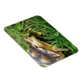 口を開けて口を開けて草を食べる マグネット (右側)