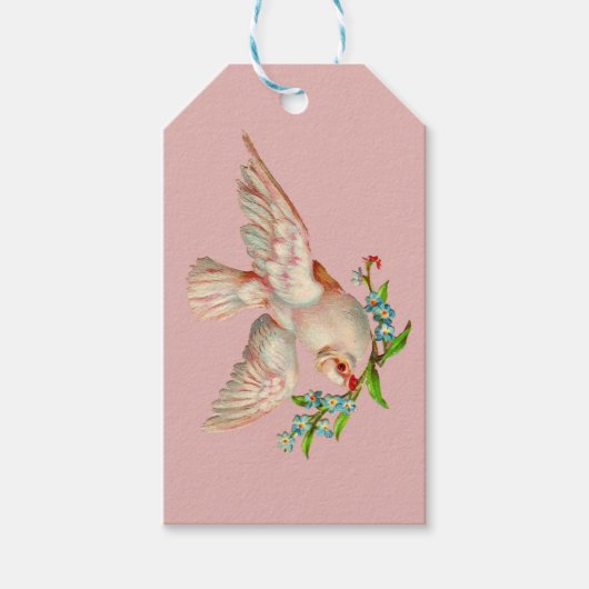 口元に棘のある美しい白い鳩 ギフトタグ (正面)