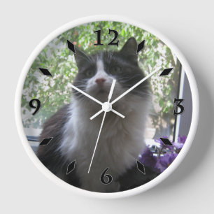 口先のかわいい猫 壁時計