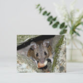 口実在の多さ ポストカード (スタンド正面)