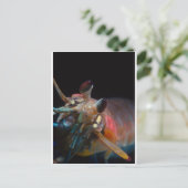 口脚類 ポストカード (スタンド正面)