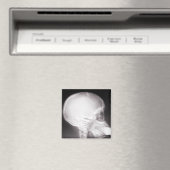 口腔X線中足 マグネット (インサイチュ (食洗機))