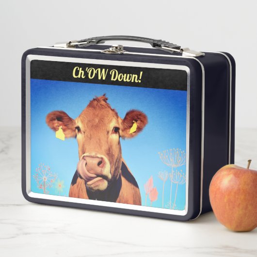 口蓋を喜ばせるおもしろい メタルランチボックス (インサイチュ)