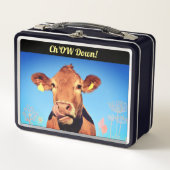 口蓋を喜ばせるおもしろい メタルランチボックス (正面)