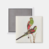 口蓋垂体 マグネット (正面/裏面)