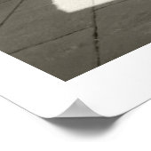 口蓋裂 ポスター (角)