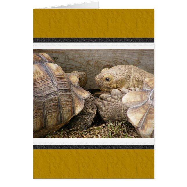 古いうわさ話 (正面)